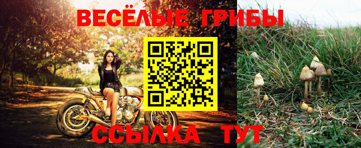 Галлюциногенные грибы Psilocybine cubensis  Псилоцибиновые грибы мухоморы  Химки  Вход с VPN 