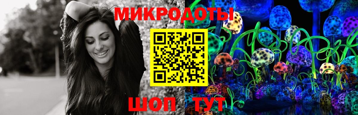 Галлюциногенные грибы Psilocybine cubensis Химки